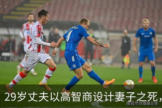 29岁丈夫以高智商设计妻子之死，冰块成了心碎的工具